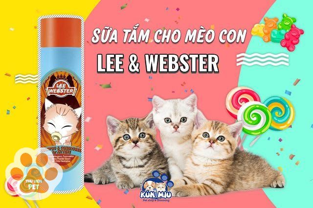 Lee & Webster là dòng sữa tắm tốt cho mèo con