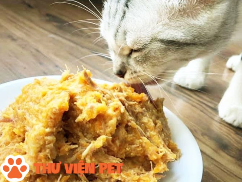 Các bước thực hiện cách làm pate gà cho mèo ngay tại nhà vô cùng dễ dàng và bổ dưỡng