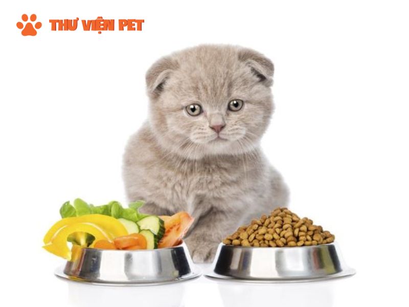 Rau củ là loại thực phẩm tốt cho mèo